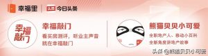 房貸攤銷計算器(房貸攤銷計算器公式)