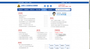 查個人所得稅(查個人所得稅電話是多少)