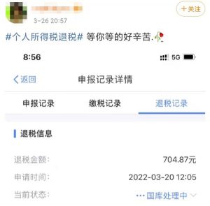 個人所得稅app下載(個人所得稅app下載國家稅務總局)