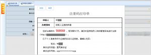 個人所得稅網(wǎng)頁版(個人所得稅網(wǎng)頁版上怎么申報)