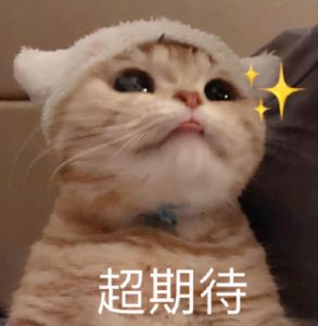 個稅稅率調高(降低個稅最高稅率)