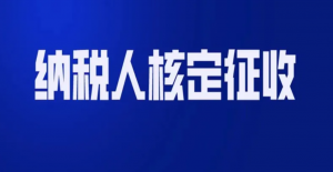 個(gè)體戶個(gè)人所得稅(個(gè)體戶個(gè)人所得稅稅率)