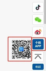 上海申報個人所得稅(上海申報個人所得稅步驟)