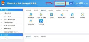 個人所得稅如何申報(稅務系統個人所得稅如何申報)