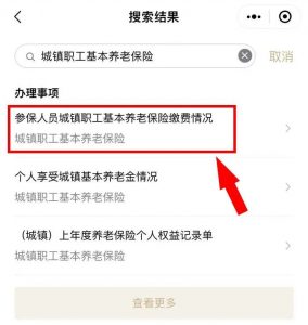 查個人所得稅(查個人所得稅電話是多少)