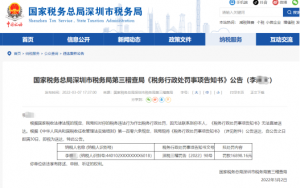 補繳個人所得稅(個人所得稅app 補繳個人所得稅)