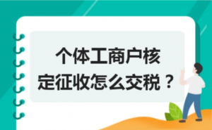 個(gè)體戶個(gè)人所得稅(個(gè)體戶個(gè)人所得稅稅率)