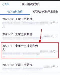 下載個人所得稅APP(個稅軟件下載)