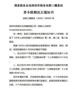 代繳個人所得稅(代繳個人所得稅怎么做賬)