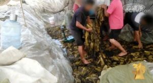無錫個稅計算器(無錫個人稅后工資計算器)
