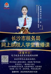 個人所得稅網上申報(湖南省個人所得稅網上申報)