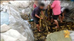 合肥房貸利率計(jì)算器(合肥房貸計(jì)算器2019在線)