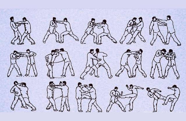 洪拳-洪拳十二橋手可以自學嗎