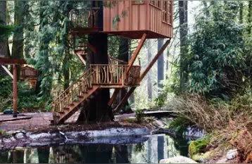 木屋建造-如何在野外里搭建一個小木屋