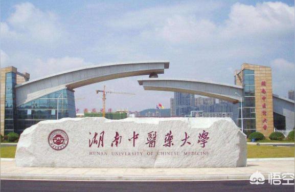 湖南中醫(yī)藥高等專科學(xué)校-湖南中醫(yī)藥高等專科學(xué)校好不好插圖