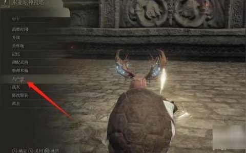 艾爾登法環(huán)骨灰只能用一次嗎-艾爾登法環(huán)怎么放召喚物