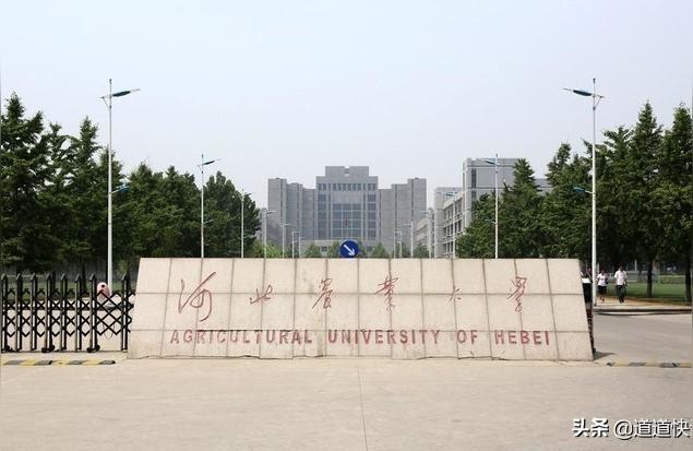 河北農(nóng)大網(wǎng)-河北農(nóng)業(yè)大學(xué)與河北地質(zhì)大學(xué)比較