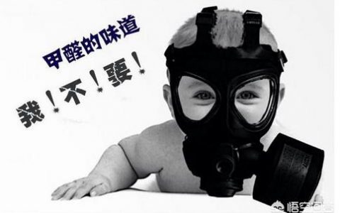 新裝修的房子多久可以入住-裝修多久入住