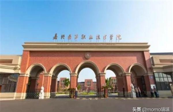 浙江同濟科技職業-2022年浙江單招單考總分是多少