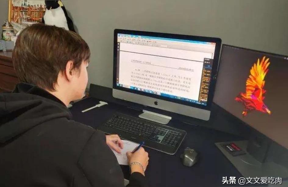 原神飛行駕照怎么考-小飛機駕照報考啥條件插圖