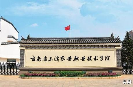 玉溪農(nóng)業(yè)職業(yè)技術(shù)學(xué)院官網(wǎng)-云南農(nóng)業(yè)職業(yè)技術(shù)學(xué)院縮寫