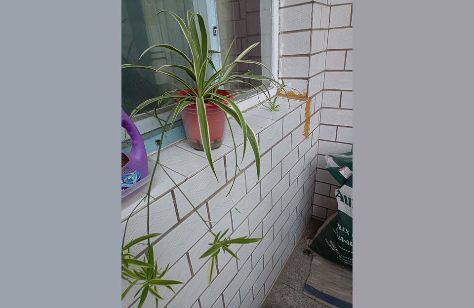圍墻造價-24磚圍墻每平米造價