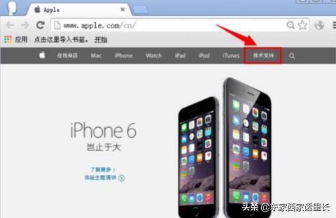 如何看iphone版本-怎么看蘋果手機是什么版本插圖