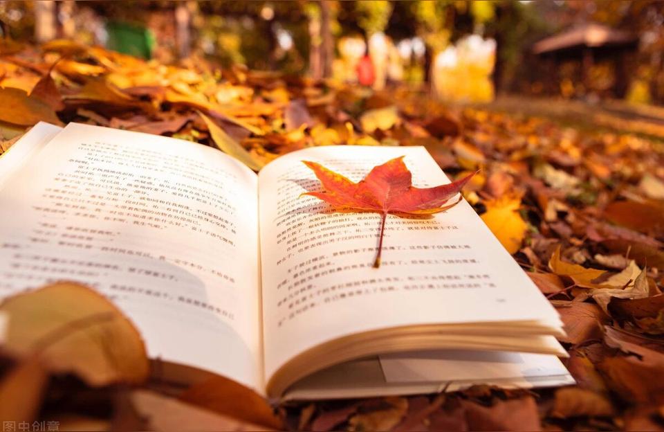 圖書在線閱讀-各位大佬能麻煩推薦幾本文史類書籍嗎