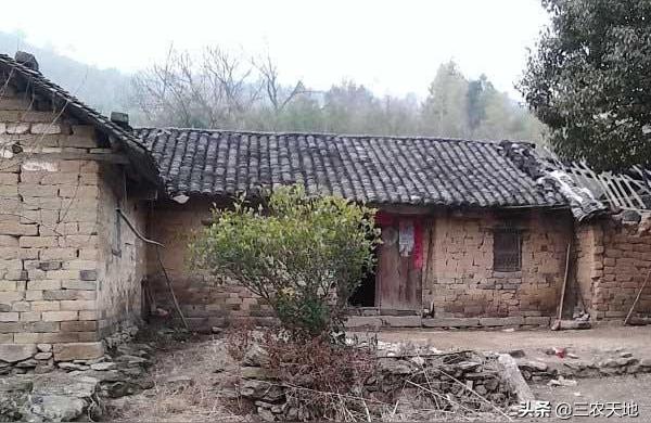 危房鑒定多少錢一平方-哪位大神知道房屋受損鑒定怎么收費