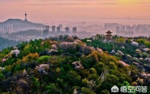 遼東學(xué)院教務(wù)處-遼東學(xué)院北校區(qū)多大