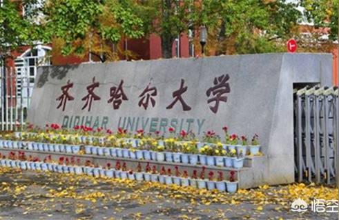 齊齊哈爾大學課程平臺-齊齊哈爾大學課表怎么查