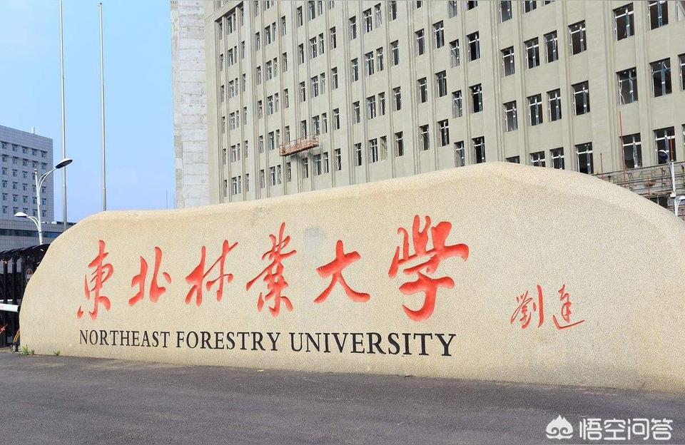 東北林業(yè)大學網絡信息中心-東北林業(yè)大學的師范專業(yè)怎么樣