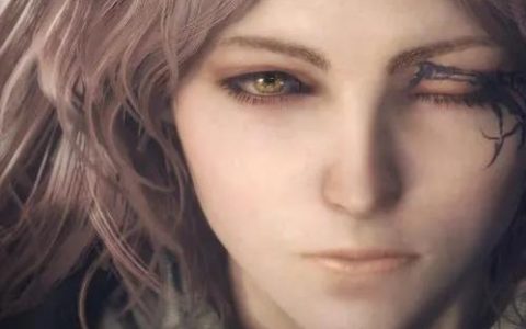 艾爾登法環adventure guide-艾爾登法環怎么放置光柱