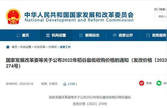 022年前水稻最新價格-2022年糧食補貼多少錢一畝"