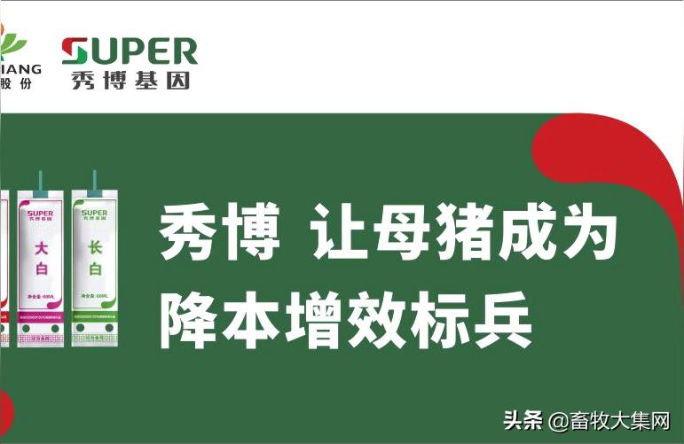 022生豬價格走勢圖-請問有經驗的養豬人"