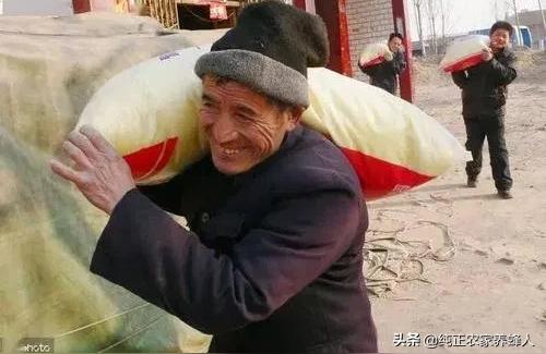 022年根力多肥價格-2022年摻混肥價格"