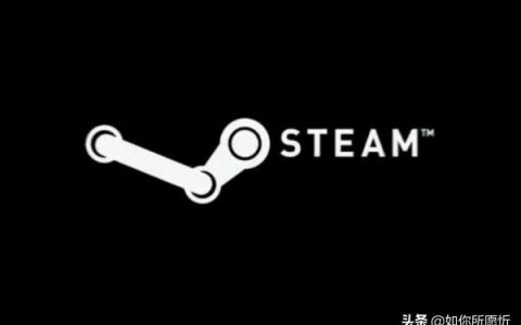steam valve corp-stamen選哪個國家