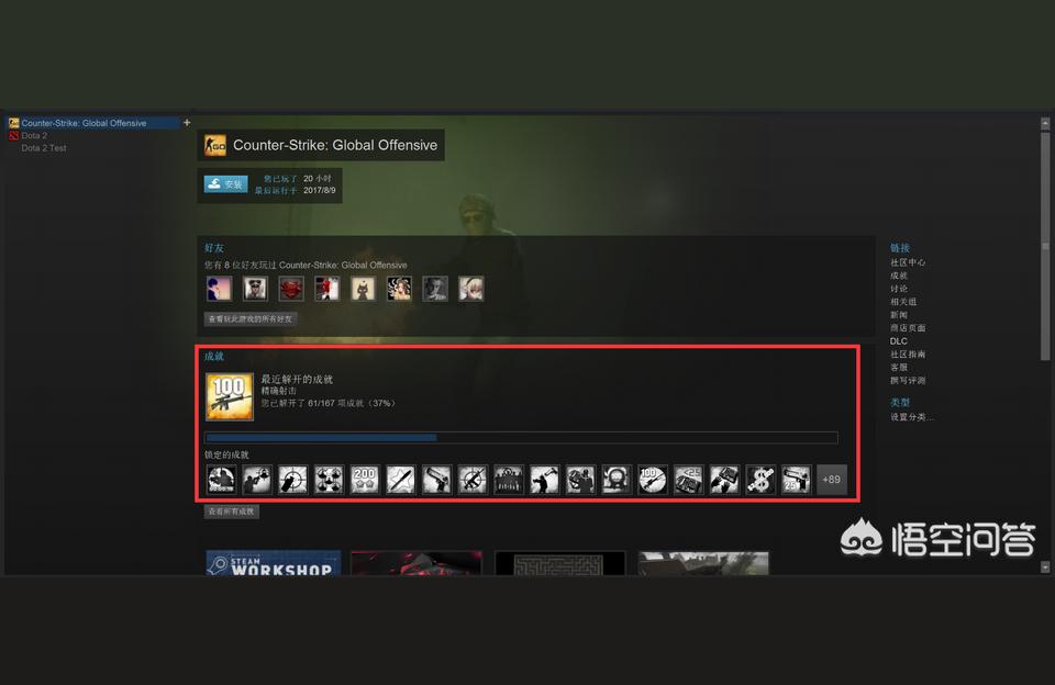 csgo免steam版-話說STEAM客戶端有CSGO
