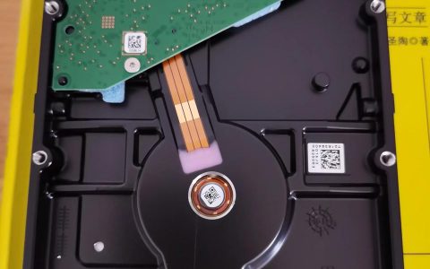 steam among us-among后面要加賓格