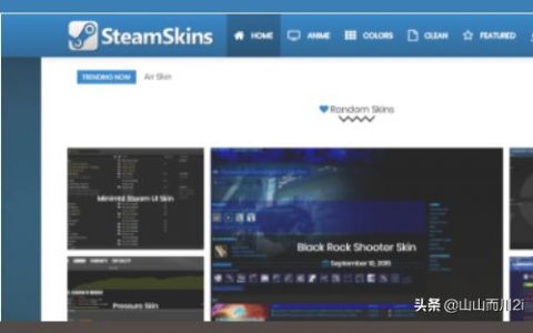 steam skins-bionic哪個好