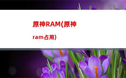 原神百貨奇貨(原神百貨奇貨活動多少原石)