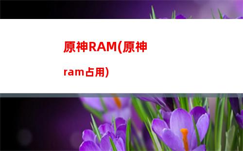原神百貨奇貨(原神百貨奇貨活動多少原石)