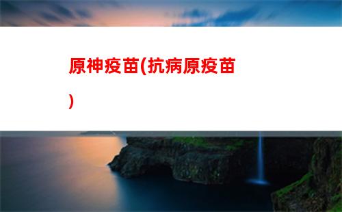 巫女原神(原神巫女位置)