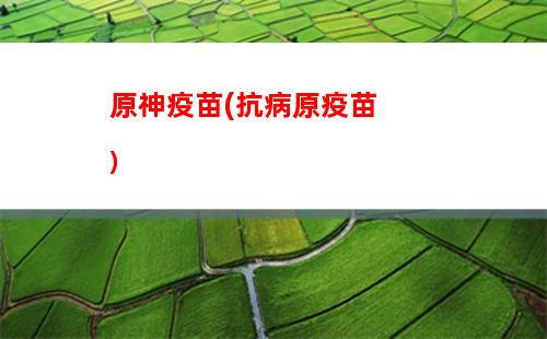 鐘離原神(鐘離原神圖片)