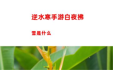 逆水寒手游白夜拂雪是什么